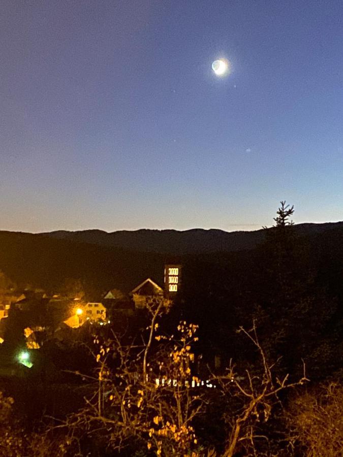 Le Moonloft Insolite Tiny-House Dans Les Arbres & 1 Seance De Sauna Pour 2 Avec Vue Panoramique Osenbach المظهر الخارجي الصورة