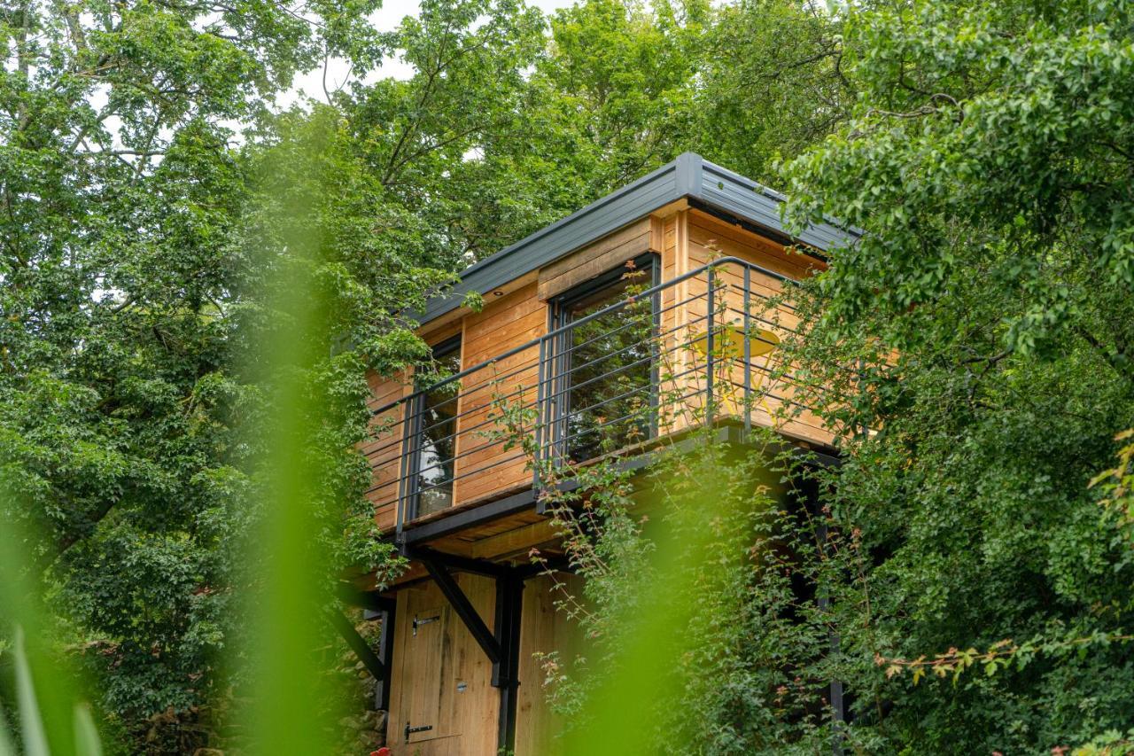 Le Moonloft Insolite Tiny-House Dans Les Arbres & 1 Seance De Sauna Pour 2 Avec Vue Panoramique Osenbach المظهر الخارجي الصورة