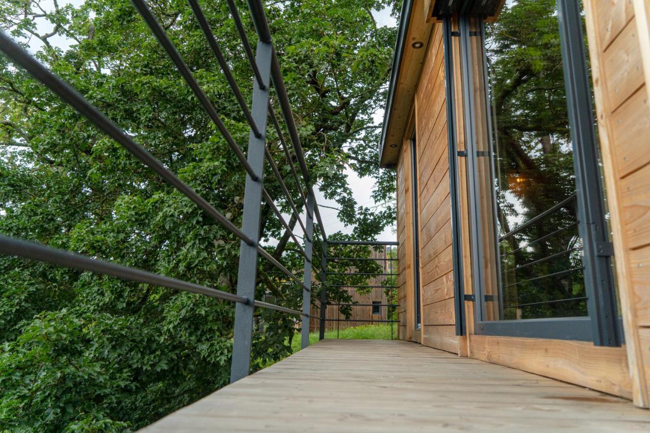 Le Moonloft Insolite Tiny-House Dans Les Arbres & 1 Seance De Sauna Pour 2 Avec Vue Panoramique Osenbach المظهر الخارجي الصورة