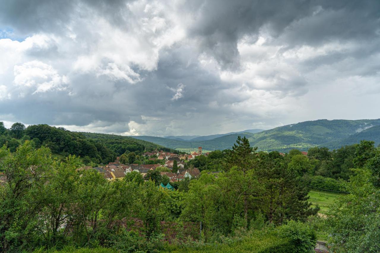 Le Moonloft Insolite Tiny-House Dans Les Arbres & 1 Seance De Sauna Pour 2 Avec Vue Panoramique Osenbach المظهر الخارجي الصورة
