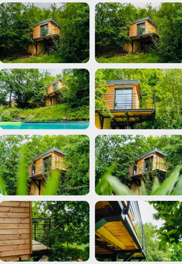 Le Moonloft Insolite Tiny-House Dans Les Arbres & 1 Seance De Sauna Pour 2 Avec Vue Panoramique Osenbach المظهر الخارجي الصورة